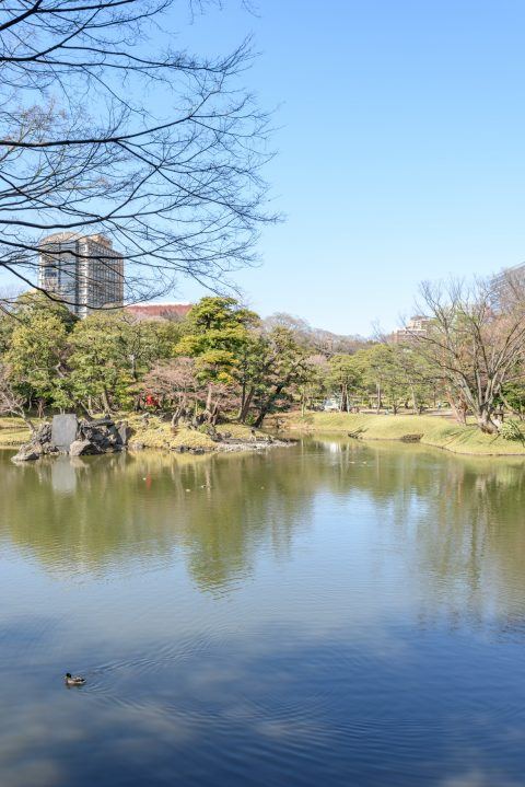 小石川 後楽園 ベビーカー ストア